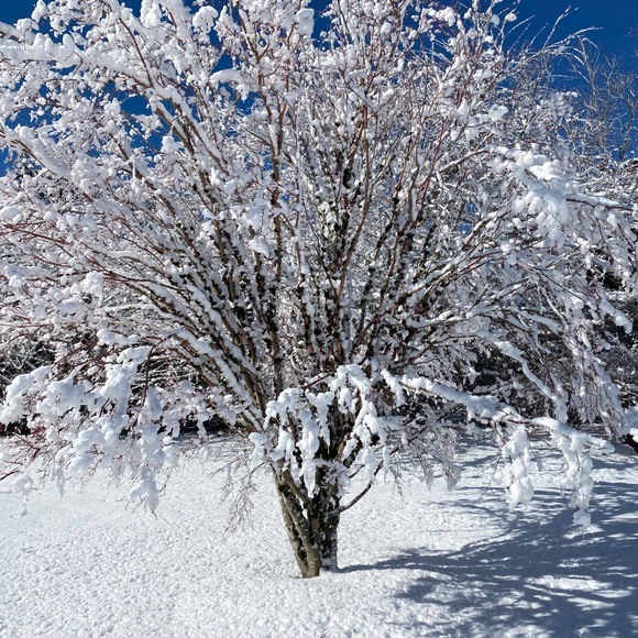 Meet your Posher, David - Picture 1 of 1